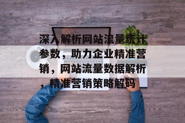 深入解析网站流量统计参数，助力企业精准营销，网站流量数据解析，精准营销策略解码