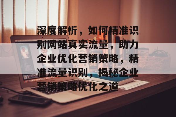 深度解析，如何精准识别网站真实流量，助力企业优化营销策略，精准流量识别，揭秘企业营销策略优化之道