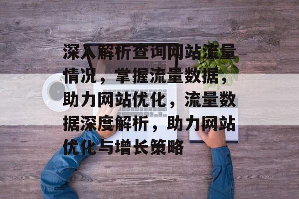 深入解析查询网站流量情况，掌握流量数据，助力网站优化，流量数据深度解析，助力网站优化与增长策略
