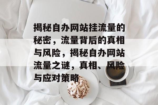揭秘自办网站挂流量的秘密，流量背后的真相与风险，揭秘自办网站流量之谜，真相、风险与应对策略