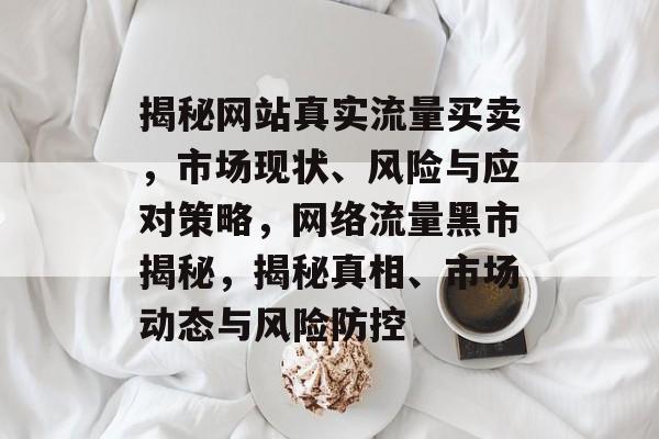 揭秘网站真实流量买卖，市场现状、风险与应对策略，网络流量黑市揭秘，揭秘真相、市场动态与风险防控