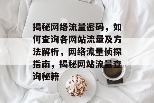 揭秘网络流量密码，如何查询各网站流量及方法解析，网络流量侦探指南，揭秘网站流量查询秘籍