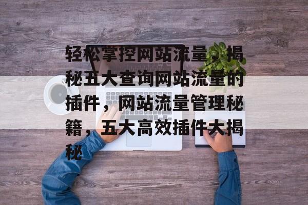 轻松掌控网站流量，揭秘五大查询网站流量的插件，网站流量管理秘籍，五大高效插件大揭秘
