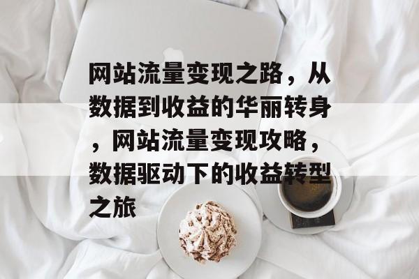 网站流量变现之路，从数据到收益的华丽转身，网站流量变现攻略，数据驱动下的收益转型之旅