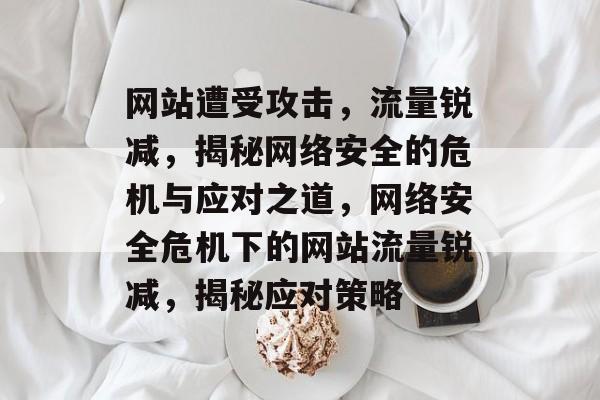 网站遭受攻击，流量锐减，揭秘网络安全的危机与应对之道，网络安全危机下的网站流量锐减，揭秘应对策略
