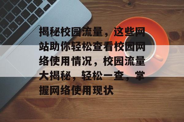 揭秘校园流量，这些网站助你轻松查看校园网络使用情况，校园流量大揭秘，轻松一查，掌握网络使用现状