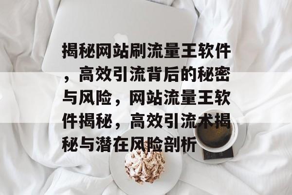 揭秘网站刷流量王软件，高效引流背后的秘密与风险，网站流量王软件揭秘，高效引流术揭秘与潜在风险剖析