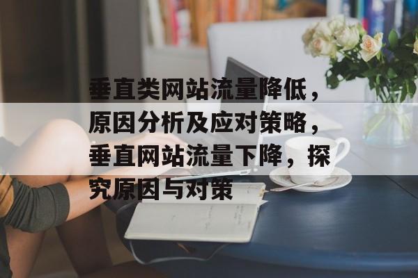 垂直类网站流量降低，原因分析及应对策略，垂直网站流量下降，探究原因与对策
