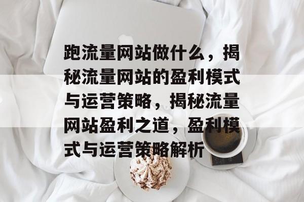 跑流量网站做什么，揭秘流量网站的盈利模式与运营策略，揭秘流量网站盈利之道，盈利模式与运营策略解析