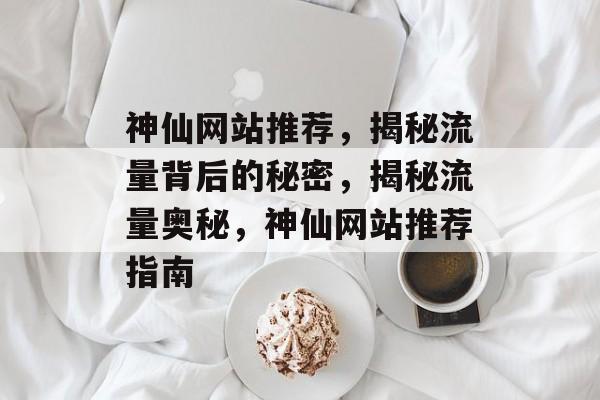 神仙网站推荐，揭秘流量背后的秘密，揭秘流量奥秘，神仙网站推荐指南