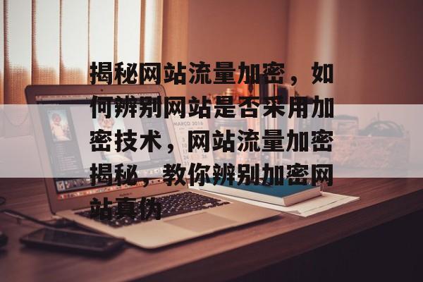 揭秘网站流量加密，如何辨别网站是否采用加密技术，网站流量加密揭秘，教你辨别加密网站真伪