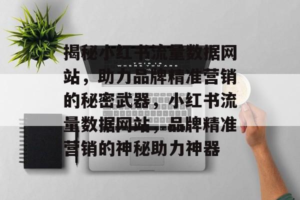 揭秘小红书流量数据网站，助力品牌精准营销的秘密武器，小红书流量数据网站，品牌精准营销的神秘助力神器
