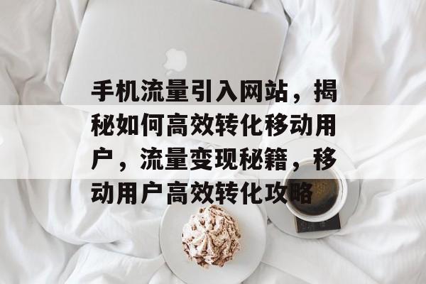 手机流量引入网站，揭秘如何高效转化移动用户，流量变现秘籍，移动用户高效转化攻略