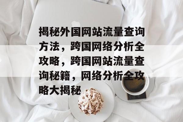 揭秘外国网站流量查询方法，跨国网络分析全攻略，跨国网站流量查询秘籍，网络分析全攻略大揭秘