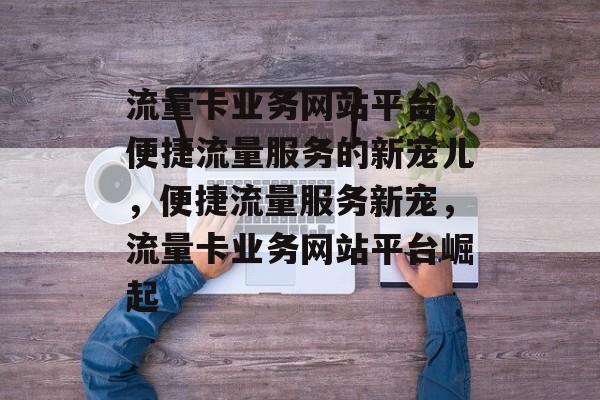 流量卡业务网站平台，便捷流量服务的新宠儿，便捷流量服务新宠，流量卡业务网站平台崛起