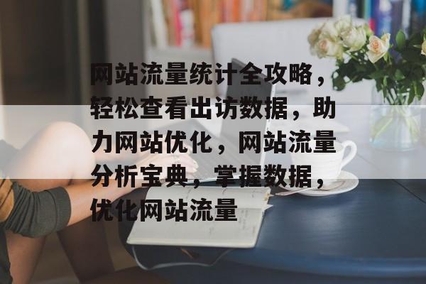 网站流量统计全攻略，轻松查看出访数据，助力网站优化，网站流量分析宝典，掌握数据，优化网站流量