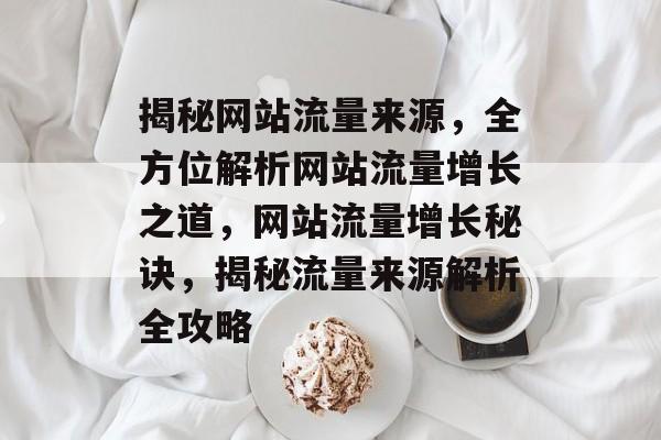 揭秘网站流量来源，全方位解析网站流量增长之道，网站流量增长秘诀，揭秘流量来源解析全攻略
