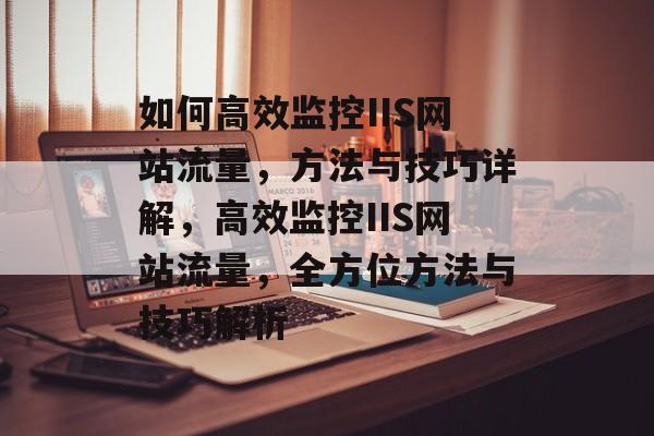 如何高效监控IIS网站流量，方法与技巧详解，高效监控IIS网站流量，全方位方法与技巧解析