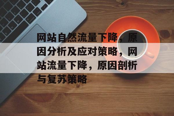 网站自然流量下降，原因分析及应对策略，网站流量下降，原因剖析与复苏策略