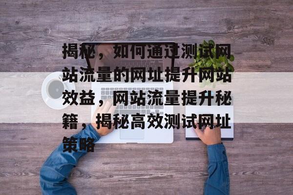 揭秘，如何通过测试网站流量的网址提升网站效益，网站流量提升秘籍，揭秘高效测试网址策略