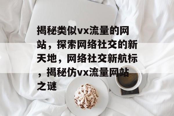 揭秘类似vx流量的网站，探索网络社交的新天地，网络社交新航标，揭秘仿vx流量网站之谜