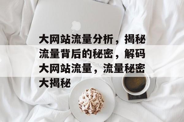 大网站流量分析，揭秘流量背后的秘密，解码大网站流量，流量秘密大揭秘