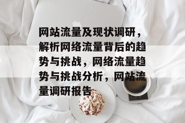 网站流量及现状调研，解析网络流量背后的趋势与挑战，网络流量趋势与挑战分析，网站流量调研报告