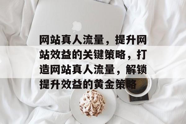 网站真人流量，提升网站效益的关键策略，打造网站真人流量，解锁提升效益的黄金策略