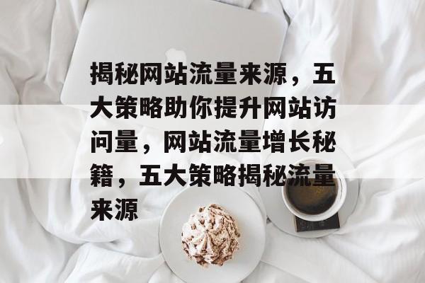 揭秘网站流量来源，五大策略助你提升网站访问量，网站流量增长秘籍，五大策略揭秘流量来源