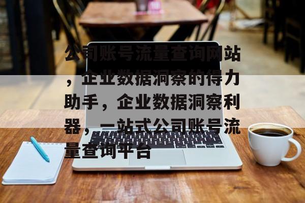 公司账号流量查询网站，企业数据洞察的得力助手，企业数据洞察利器，一站式公司账号流量查询平台
