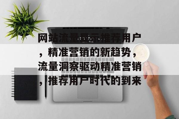 网站流量显示推荐用户，精准营销的新趋势，流量洞察驱动精准营销，推荐用户时代的到来