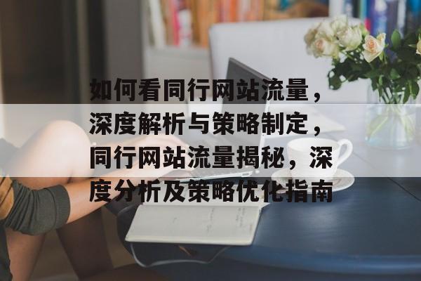 如何看同行网站流量，深度解析与策略制定，同行网站流量揭秘，深度分析及策略优化指南