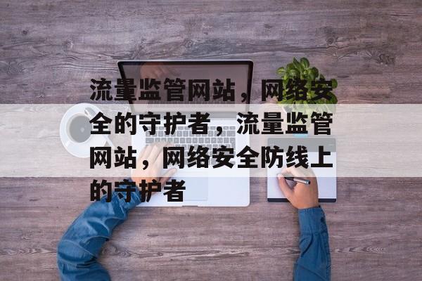 流量监管网站，网络安全的守护者，流量监管网站，网络安全防线上的守护者