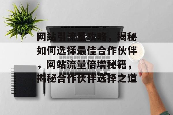 网站引流量攻略，揭秘如何选择最佳合作伙伴，网站流量倍增秘籍，揭秘合作伙伴选择之道