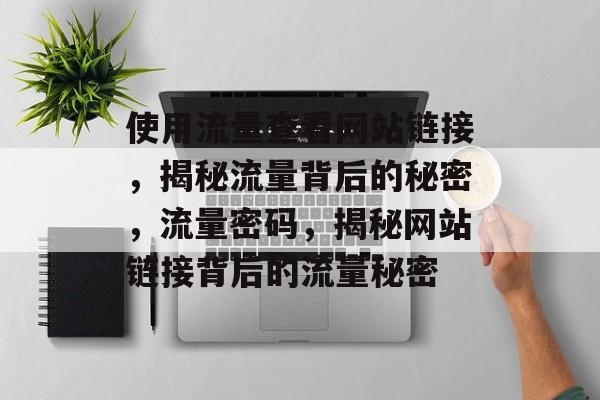 使用流量查看网站链接，揭秘流量背后的秘密，流量密码，揭秘网站链接背后的流量秘密