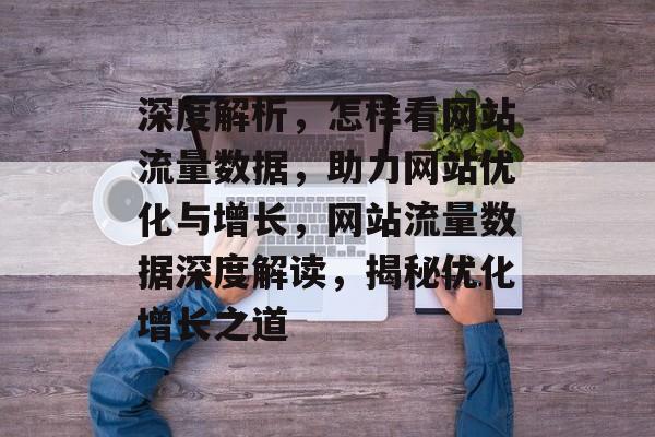 深度解析，怎样看网站流量数据，助力网站优化与增长，网站流量数据深度解读，揭秘优化增长之道