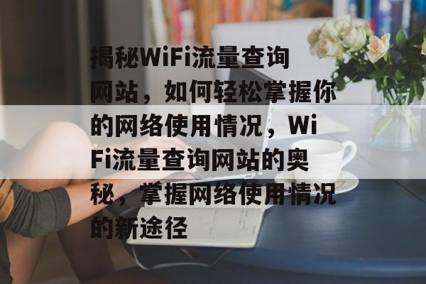 揭秘WiFi流量查询网站，如何轻松掌握你的网络使用情况，WiFi流量查询网站的奥秘，掌握网络使用情况的新途径
