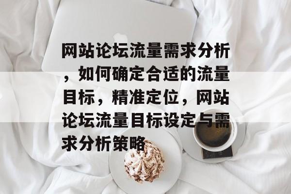 网站论坛流量需求分析，如何确定合适的流量目标，精准定位，网站论坛流量目标设定与需求分析策略