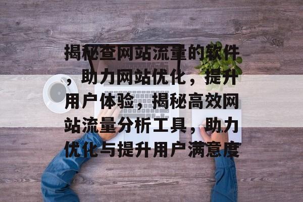 揭秘查网站流量的软件，助力网站优化，提升用户体验，揭秘高效网站流量分析工具，助力优化与提升用户满意度