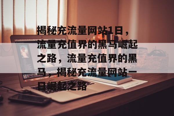 揭秘充流量网站1日，流量充值界的黑马崛起之路，流量充值界的黑马，揭秘充流量网站一日崛起之路