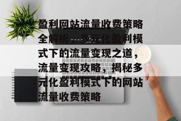 盈利网站流量收费策略全解析，多元化盈利模式下的流量变现之道，流量变现攻略，揭秘多元化盈利模式下的网站流量收费策略