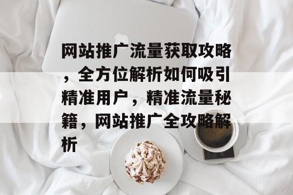 网站推广流量获取攻略，全方位解析如何吸引精准用户，精准流量秘籍，网站推广全攻略解析