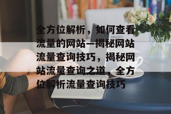 全方位解析，如何查看流量的网站—揭秘网站流量查询技巧，揭秘网站流量查询之道，全方位解析流量查询技巧