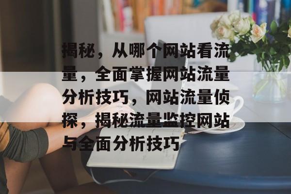 揭秘，从哪个网站看流量，全面掌握网站流量分析技巧，网站流量侦探，揭秘流量监控网站与全面分析技巧