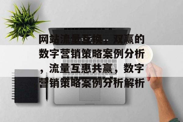 网站流量互换，双赢的数字营销策略案例分析，流量互惠共赢，数字营销策略案例分析解析