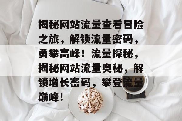 揭秘网站流量查看冒险之旅，解锁流量密码，勇攀高峰！流量探秘，揭秘网站流量奥秘，解锁增长密码，攀登流量巅峰！