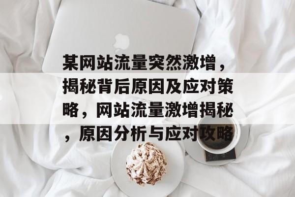 某网站流量突然激增，揭秘背后原因及应对策略，网站流量激增揭秘，原因分析与应对攻略