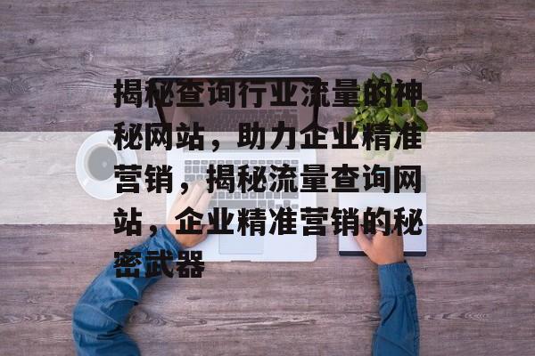 揭秘查询行业流量的神秘网站，助力企业精准营销，揭秘流量查询网站，企业精准营销的秘密武器