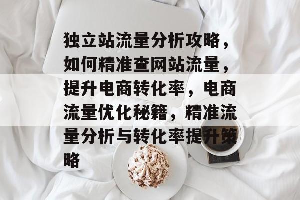 独立站流量分析攻略，如何精准查网站流量，提升电商转化率，电商流量优化秘籍，精准流量分析与转化率提升策略
