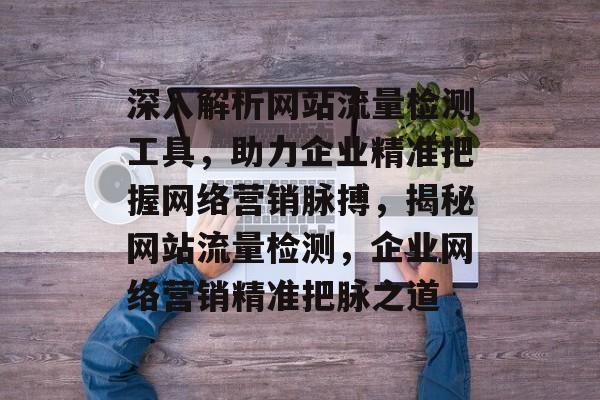 深入解析网站流量检测工具，助力企业精准把握网络营销脉搏，揭秘网站流量检测，企业网络营销精准把脉之道